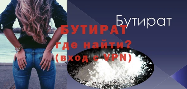 индика Надым
