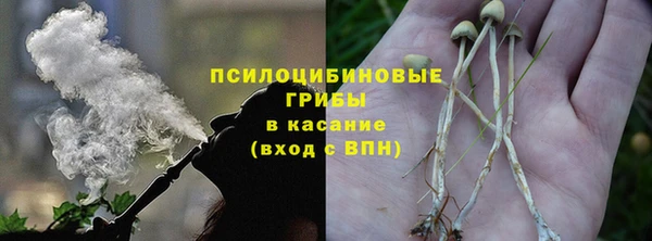 индика Надым