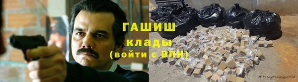 индика Надым