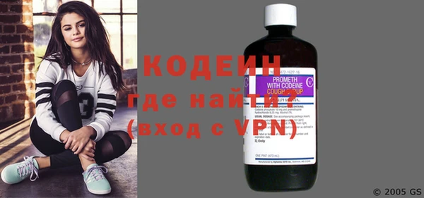 индика Надым