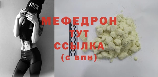 индика Надым
