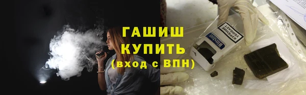 индика Надым