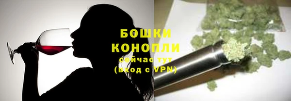 индика Надым