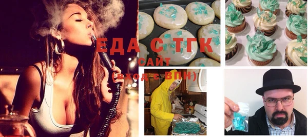 индика Надым