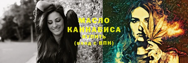 индика Надым
