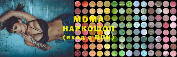 индика Надым