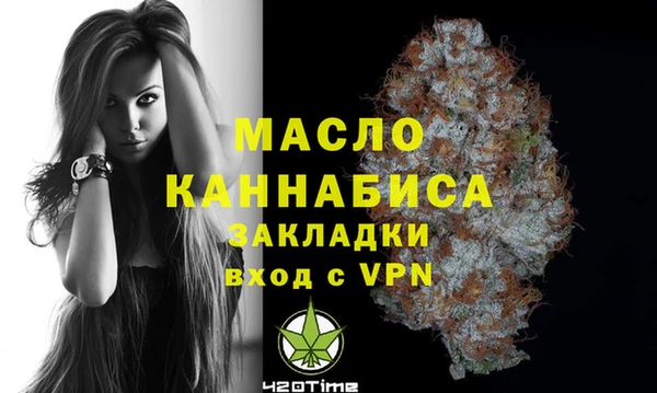 индика Надым