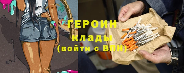 индика Надым