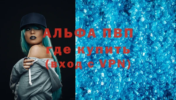 индика Надым