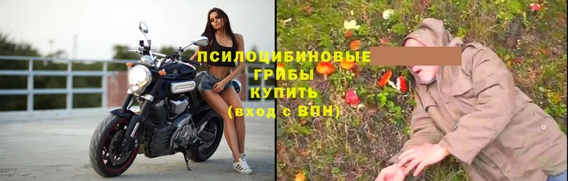 Галлюциногенные грибы ЛСД  купить наркоту  Мамадыш 